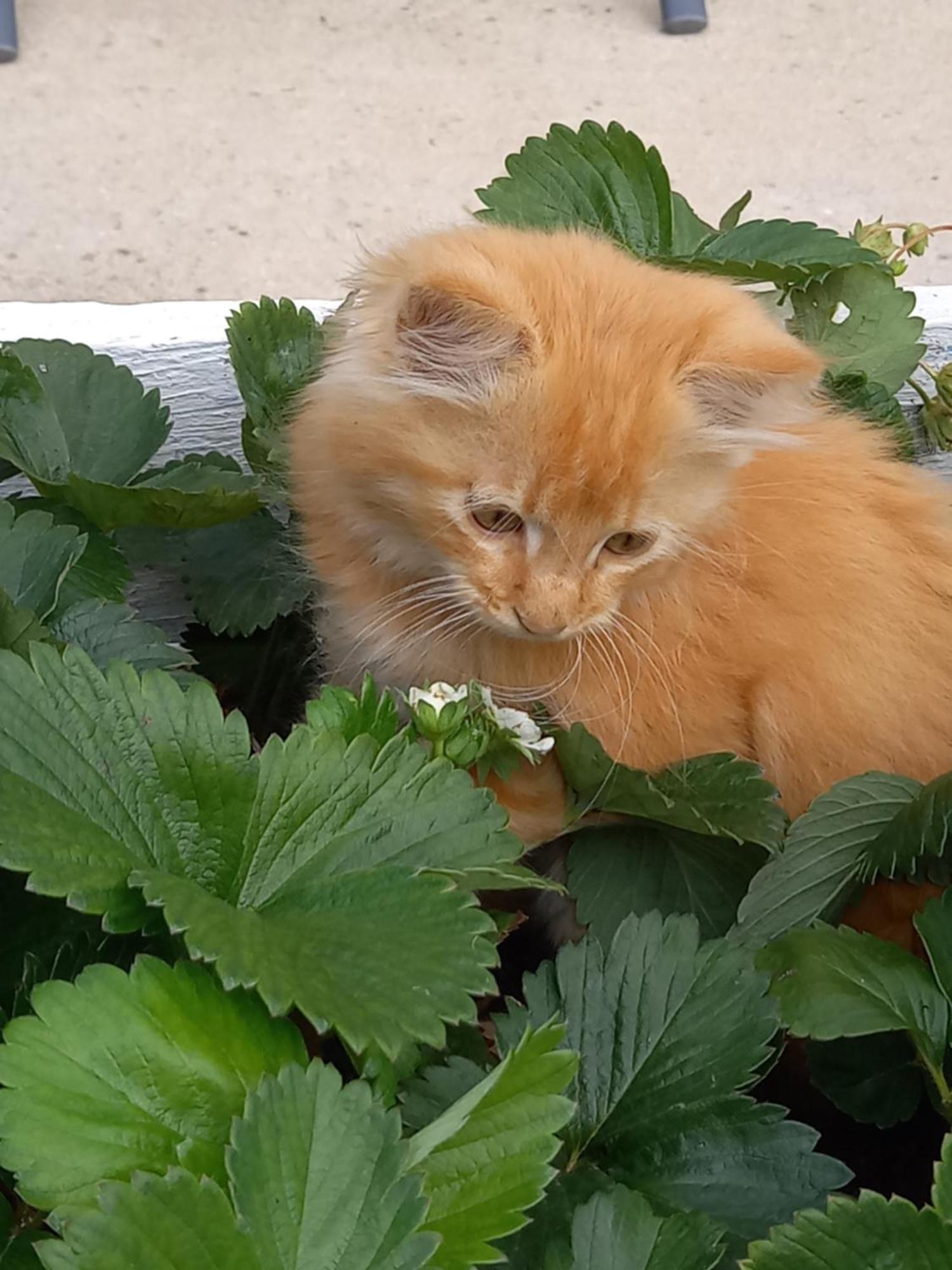 Gite La Petite Maison Montournais Dış mekan fotoğraf